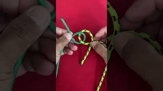 Simple connection rope knot you should knowAshley Bend Knot knot shorts [upl. by Eciryt]