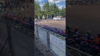 65cc class start gate 2024 Junior Motocross World Champs Heerde motocross 65cc mx ktm65 yz65 [upl. by Annirtak]