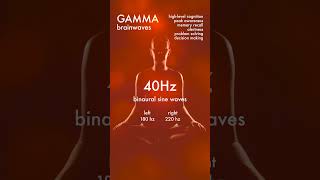 Binaural GAMMA Brain Wave 40Hz ASMR  Peak Awareness amp Cognition Memory Recall Problem Solving [upl. by Philcox]