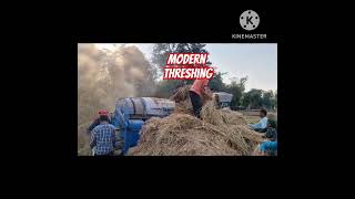 Modern Paddy Threshing through Tractor shortsvideo farming agriculture ricevarieties threshar [upl. by Anibor]