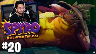 Spyro The Dragon 20  Terrace Village Spyro Reignited Trilogy Playthrough [upl. by Anitsyrhk]