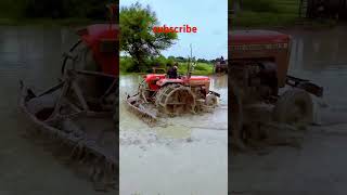 youtubeshorts feni bangladesh tafe tractorsort [upl. by Iarahs]