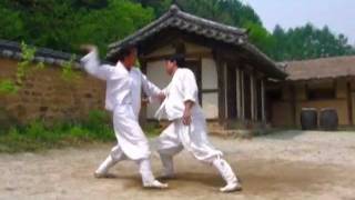 Taekkyeon a traditional Korean martial art [upl. by Demakis]