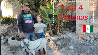 Our Family Life in Mexico  Vlogmas Day 4  training Our baby Goat [upl. by Ahsad]