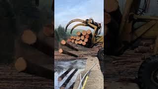 Logs being stored in a log pond forestproud lumbermill lumberjack countrymusic [upl. by Adolf]