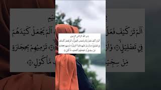 Surah AlFil shortislamicyoutubeshorts [upl. by Olshausen610]