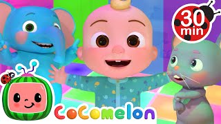 Rainbow Color Dance Song  Looby Loo  CoComelon Nursery Rhymes amp Kids Songs [upl. by Jegger212]