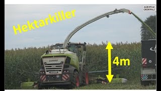 Der Hektarkiller im 4 m hohen Sudangras  Claas Jaguar 990  Lohnunternehmen Schicker  cabview [upl. by Hamrah]