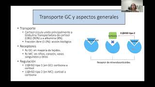 ENDOCRINOLOGÍA 9 Incidentaloma e Insuficiencia Suprarrenal [upl. by Pet]