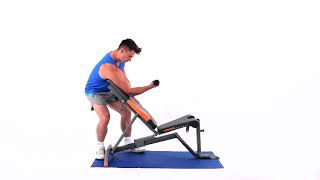 How to do an Isolated bicep curl with dumbbell [upl. by Atnohsal]