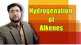 Hydrogenation of Alkenes [upl. by Nonnahs775]