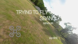 Trying to fly sbang [upl. by Yuh498]