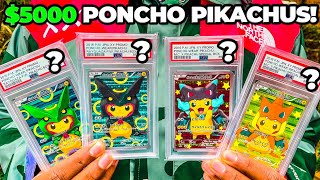 I Spent 5000 On Pikachu Poncho Promo Cards [upl. by Can877]