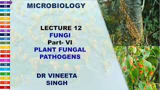 Understanding Plant Fungal Pathogens and Their Management [upl. by Anirtik]