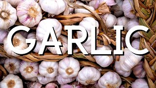 GARLIC  How I am preserving it [upl. by Artimid]