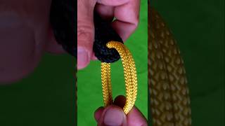 The invention of the rope link knottutorial knottying knot bestknots knoting knotting knotty [upl. by Karon]