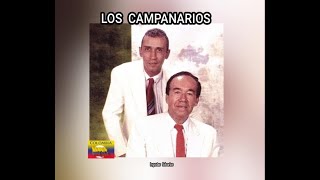 LOS CAMPANARIOS  INGRATAS FALSARIAS LETRA [upl. by Rosabel]