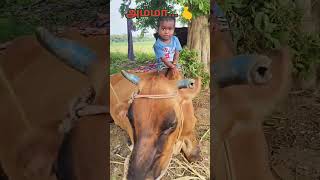 😳 Jiya Rowdyism 🫣 funny comedy trending video viralvideo shortvideo youtubeshorts சோங் 🫰 [upl. by Anihsit763]