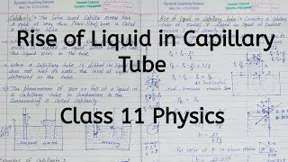 Rise of Liquid in Capillary Tube  Chapter 9  Mechanical Properties of Fluids  Class 11 Physics [upl. by Gnivri]