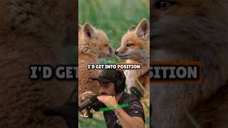 Raising Foxes Paul Rosolie amp Joe Rogan on Wild Encounters and Pet Foxes [upl. by Nattirb]