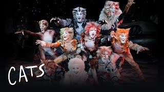 Jellicle Songs Part 1  Cats the Musical [upl. by Eirot]