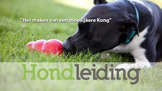 Moeilijkere Kong maken voor de hond [upl. by Rambert385]