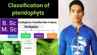 Classification of pteridophyts [upl. by Shelton213]