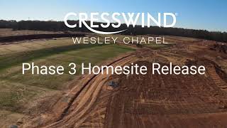 New Homesite Release at Cresswind Wesley Chapel [upl. by Annayr]