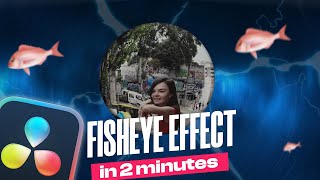 FISH EYE Effect in DaVinci Resolve 18 [upl. by Eldwun]