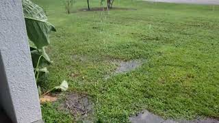 2pm 10924 Hurricane Milton Footage From Inland Tampa Bay [upl. by Picker]