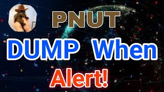 PNUT Price Prediction Today PNUT News Today Peanut the squirrel PNUT crypto [upl. by Roots]