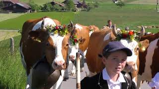 Alpauffahrt Rufeli am 19 Mai 2020 Hintergrund Musik ab neuer CD Jodlerklub Blasenfluh Oberthal [upl. by Acinorav]