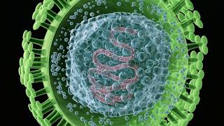 Virus Purification using Ultracentrifugation [upl. by Eevets]