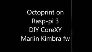 Octoprint on Raspberry pi 3  Core XY 3d printer [upl. by Amoeji]