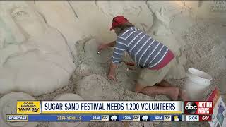 Pier 60 Sugar Sand Festival in need of thousands of volunteers [upl. by Ojytteb]