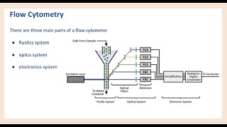 Flow Cytometry 101  Basic Principles amp Data Analysis [upl. by Maretz]