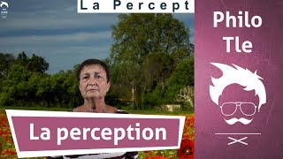 Philosophie  Terminale  La perception 12 [upl. by Nhguavad]