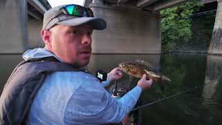 Post Spawn Smallies on Topwater [upl. by Sykleb]