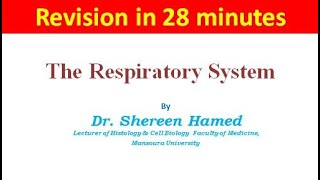 Revision of respiratory system 2021 [upl. by Nam108]