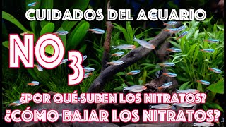 Cuidados del Acuario ¿Por qué suben los nitratos ¿Cómo puedo bajar los nitratos del acuario [upl. by Morita]