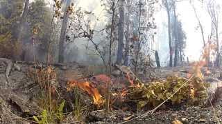 6 25 13 Lava Flow Hawaii Kilauea Volcano Lava Flow GoPro Hero 2 [upl. by Zinck651]