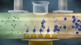 How Electrochemiluminescence ECL Works [upl. by Pammie]