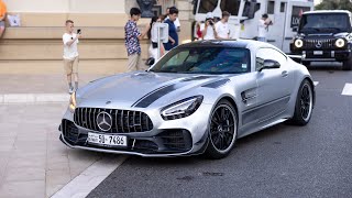 Mercedes AMG GT R Pro with Custom Exhaust  LOUD V8 Noises [upl. by Dela928]