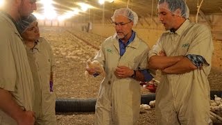 VetsOnCall – US chicken farms are humane  familyrun vets show [upl. by Clarhe333]