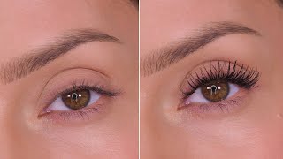 How To Make Your Eyelashes Look Longer With Mascara  Shonagh Scott [upl. by Gardel]