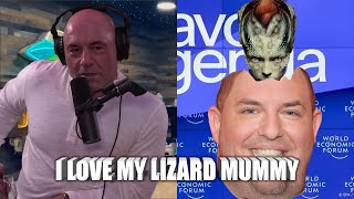 Joe Rogan I love the lizard people jre [upl. by Cilurzo]