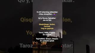 ULAR bularning uddasidan chiqa olmaydilar🤷‍♀ shortvideo automobile psixolog weather [upl. by Gerianne483]