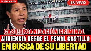 🔴¡ÚLTIMO MINUTO AUDIENCIA CONTRA PEDRO CASTILLO CASO quotORG CRlMlNALquot  8424 [upl. by Seavir]