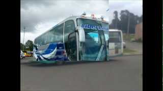 Buses de expreso colombiano bolivariano brasilia copetran entre otros buses de colombia [upl. by Etirugram]