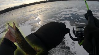 Pike on Panfish Lures [upl. by Illyes202]